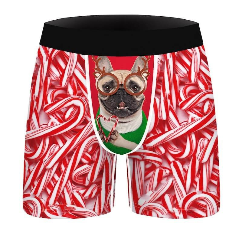 Boxer de Noël bulldog français
