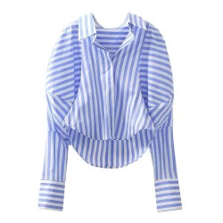 Puffed sleeve striped shirt