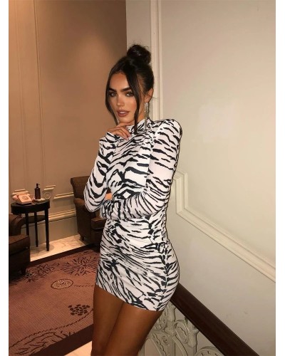 Zebra dress with long sleeves and mid-high collar