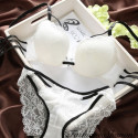 Fashione Shanone - Lace push up bra and panties set