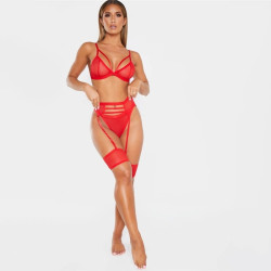 Fashione Shanone | Fishnet lingerie set with garter