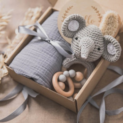 Birth box with newborn blanket, wooden toy, wooden rattle and brush