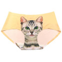 Culotte chat