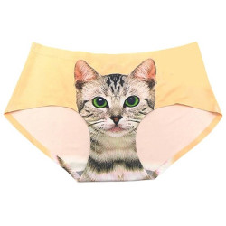 Culotte chat