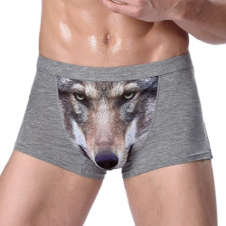 Wolf boxer