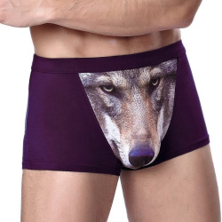 Wolf boxer