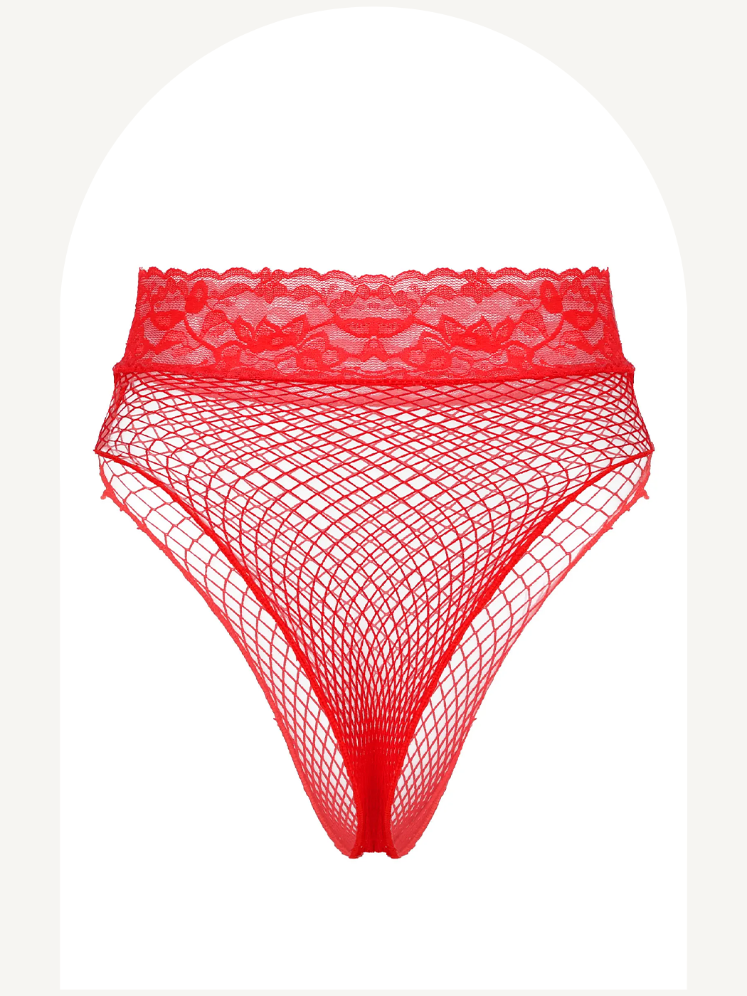 Fish net high waist thong