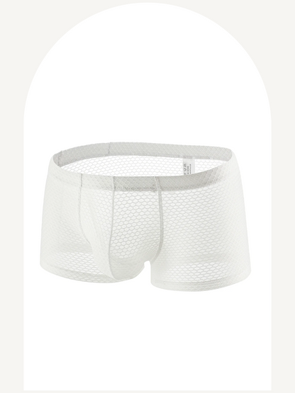 Fishnet boxer briefs