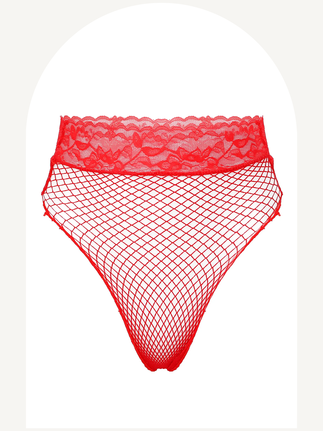 Fish net high waist thong